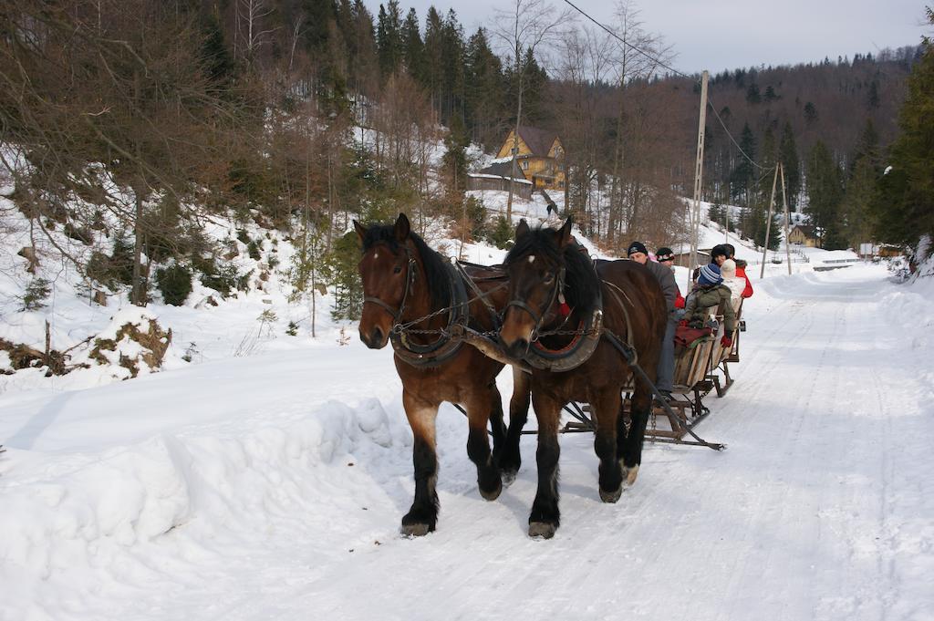 Willa Larysa Centro Wisla Luaran gambar